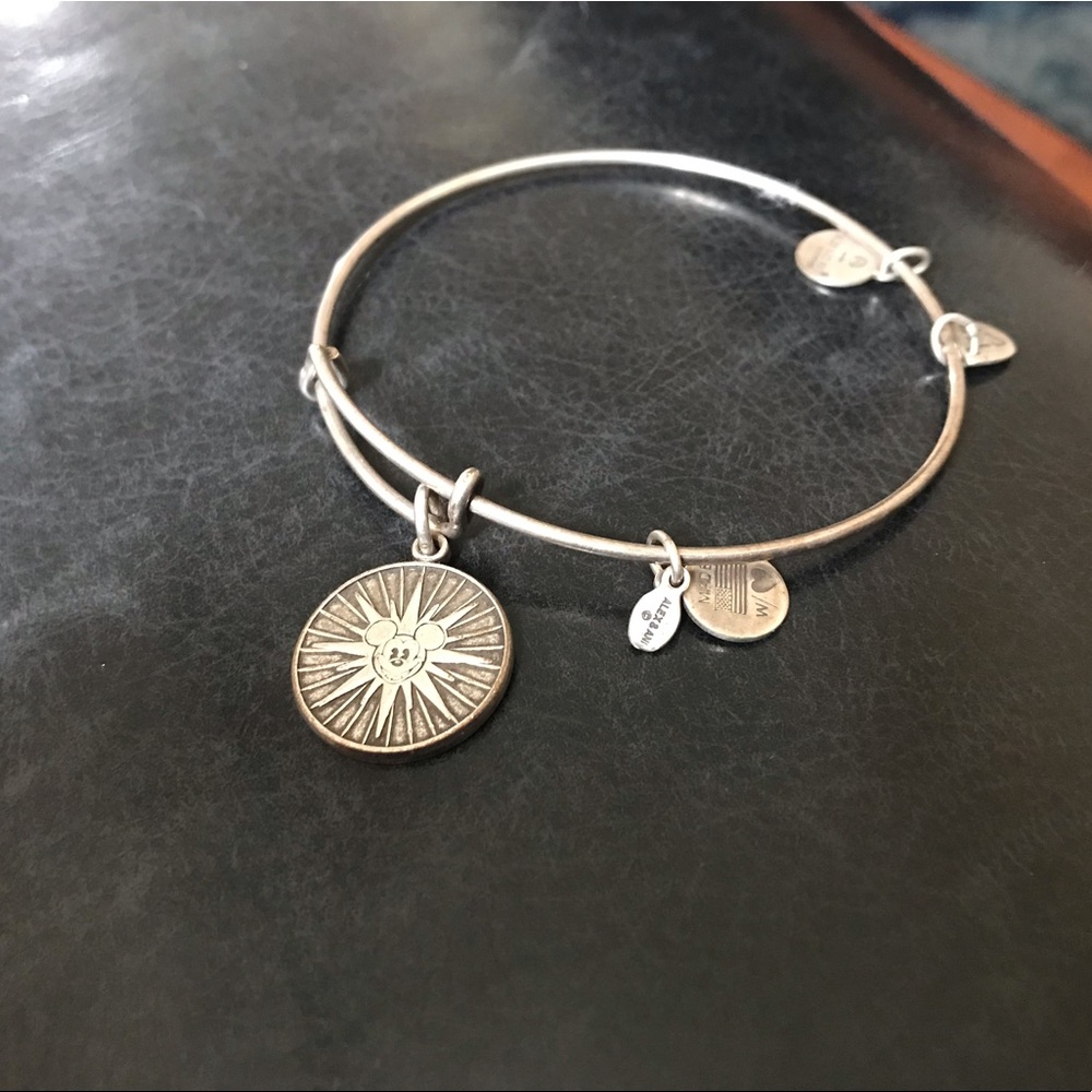 Alex and Ani California Adventure Ferris Wheel